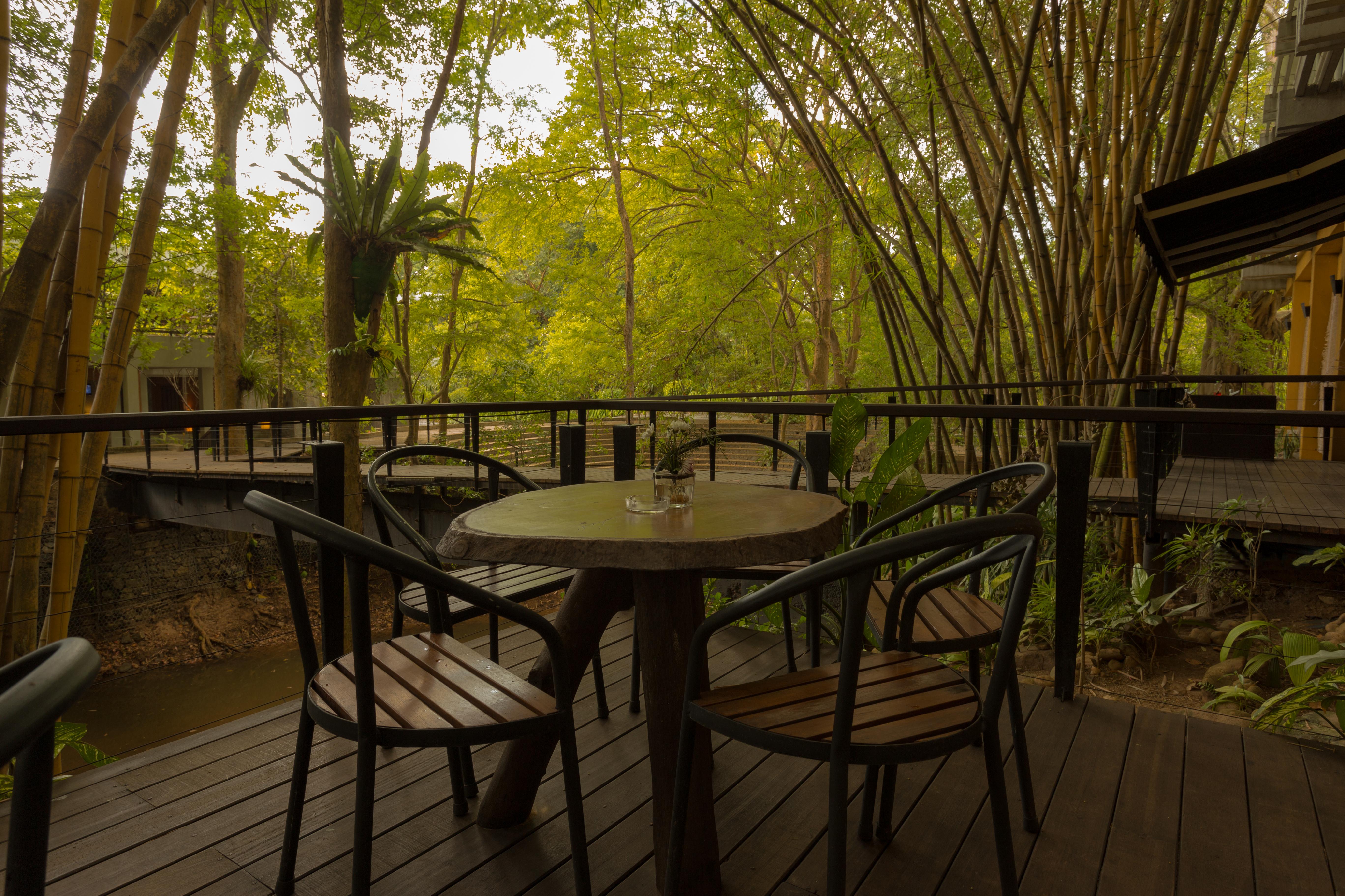 Resort Grand Safari